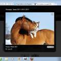Wie Galeriebilder von foto-vik.ru laden?