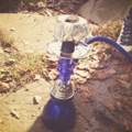 Wie heisst diese Shisha und von welcher Marke kommt sie ?