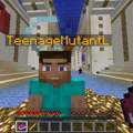 Wie mache ich bei meinem Minecraft Skin so ein Gesicht