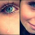Wimpern
