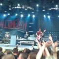 wie überstehe ich ein punk-rock konzert ? ;D