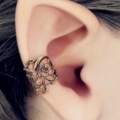 Wo gibts diese Ohrklemme/ dieses Piercing?