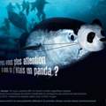 Wo ist hier der Slogan? (Mit Bild)