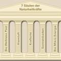wo kann ich Säulen zeichen ? ( Paint) ?