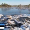 Wo kann man besser leben? In Finnland oder Estland? (Umgebung, Sicherheit, EInkommen)