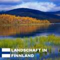 Wo kann man besser leben? In Finnland oder Estland? (Umgebung, Sicherheit, EInkommen)