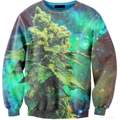 Woher bekomme ich diesen pulli ?