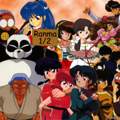 wurden mehr als nur 80 folgen von ranma 1/2 auf deutsch übersetzt?