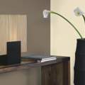 Zimmer streichen, welche Frabe?