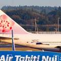 Zu welcher Airline gehört dieses Seitenleitwerk?