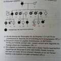 zum thema vererbung und stammbaum (rezessiv oder dominant?)