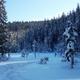 Winteridylle