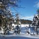 Winterlandschaft