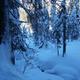 Winteridylle