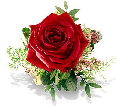 valentinstag tipps valentinstag tipps