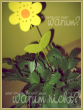 aniiTha