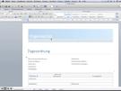 Formular in Word2010 erstellen