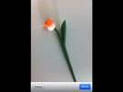 Photos vom iPhone auf Facebook laden