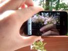 Perfekte Fotos mit iPhone4 machen