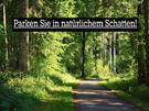 So bleibts im Auto kühl