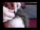 Dreadlocks pflegen und waschen