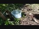 Schneckenfalle für den Garten bauen