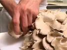 Pilze richtig putzen