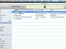 Klingeltöne von iTunes aufs iPhone ziehen