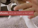 Beißhemmung trainieren