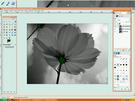 GIMP - Foto in eine Bleistift-Zeichnung umwandeln