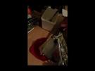 Spaghetti-Eis mit der Kartoffelpresse