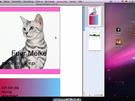 Online CD-Cover erstellen
