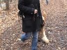 So hört der Hund auf die Hundepfeife