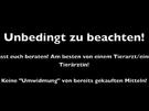 Gutes Anti-Flohmittel für Katzen