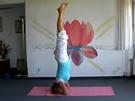 Headstand - Yoga Posture