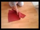 Wie falte ich ein T-Shirt in zwei Sekunden