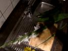 Wie Schnittblumen länger halten