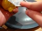 Zitronensalz: Lecker zu Fisch und Fleisch