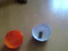 Hundetricks Sitz und Platz beibringen und neues Spielzeug für den Hund
