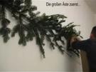 Weihnachten - Eine Alternative zum Weihnachtsbaum 