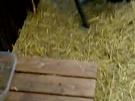 Viel Platz für Kaninchen :D