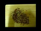 Vegetarischen Brotaufstrich selber machen mit Tomaten und Mandeln