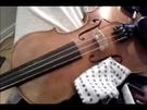 Geige und andere Saiteninstrumente richtig reinigen