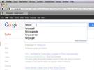 Mit google nach bestimmten Dateitypen suchen
