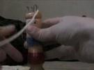 Anleitung: Basteln mit der Strickliesel 