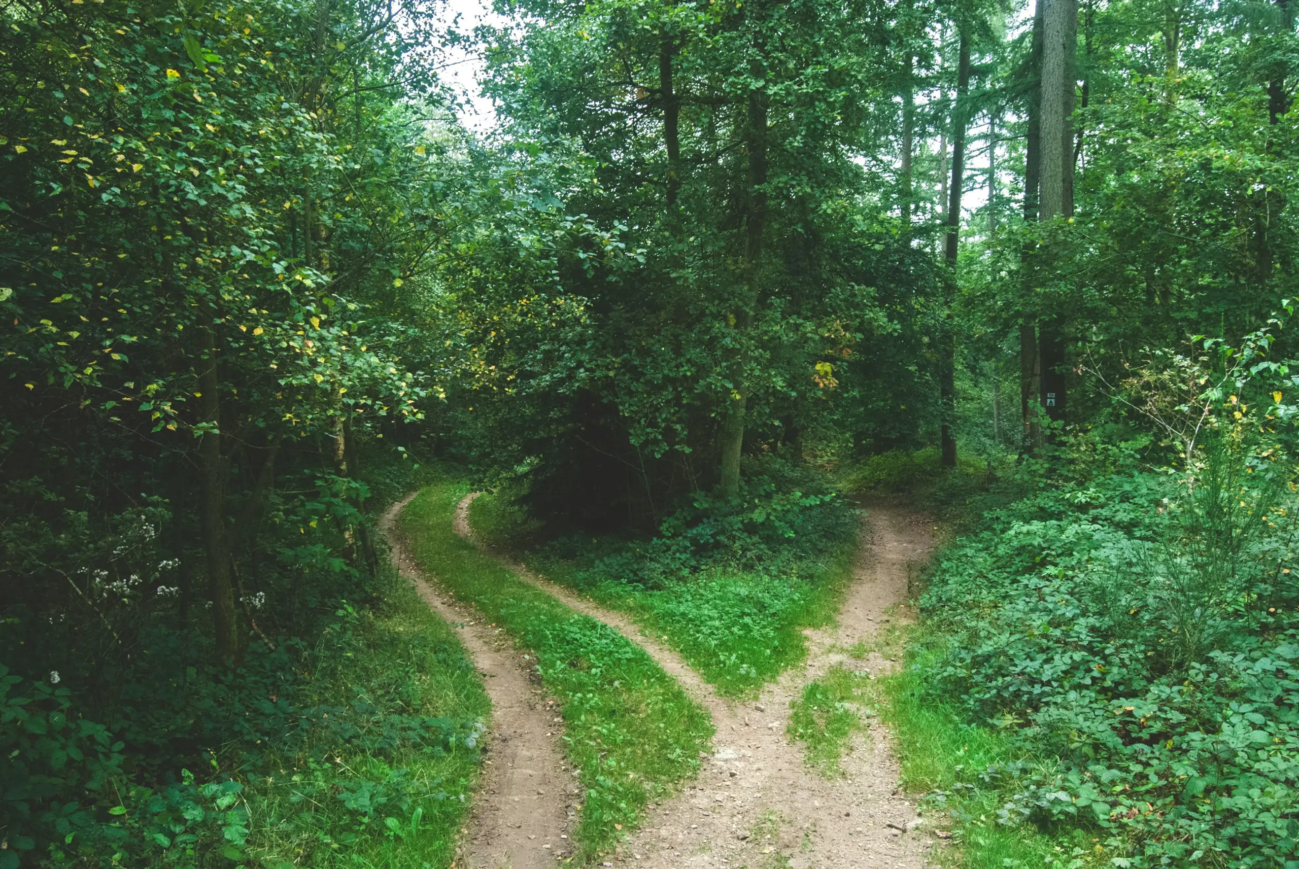 Abzweigung Weg