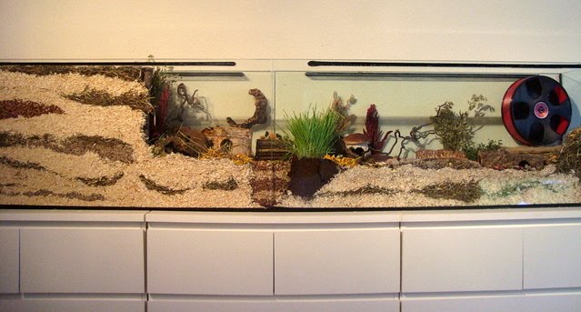 Für Hamster Käfig oder Aquarium!