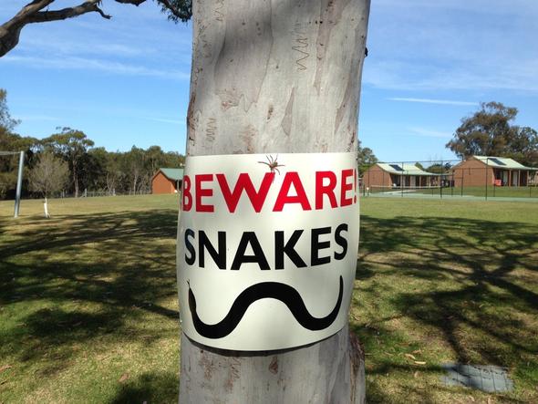 Beware snakes! - (Internet, Geld, Arbeit)