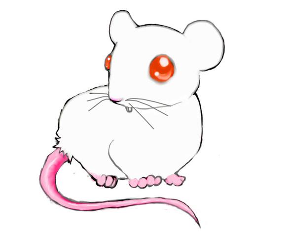 to rat draw cartoon how Manga, Anime finden) (Tiere, Nagetier Bilder to rat draw cartoon how Manga, Anime finden) (Tiere, Nagetier Bilder