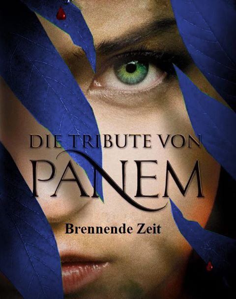 Tribute Von Panem Buch 4